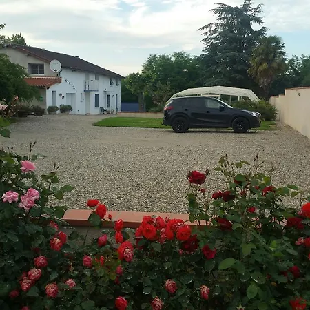 Douce France 82